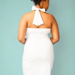 Plus Size Halter Tie Neck Mini Dress -Radiant Drape Sales 2005085 135 1