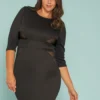Asoph Plus Size Mesh Inset Bodycon Dress