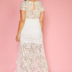 Plus Size Elegant Lace Dress -Radiant Drape Sales 2005447 002 3