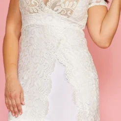 Plus Size Elegant Lace Dress -Radiant Drape Sales 2005447 002 4