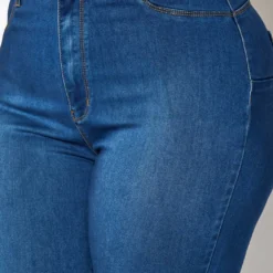 Asoph Plus Size Classic Skinny Denim High Rise Jean -Radiant Drape Sales 2016801 938 0