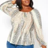 Asoph Plus Size Leopard Print Peplum Top