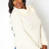 Asoph Plus Size Asymmetric Cowl Neck Sweater