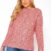 Asoph Plus Size Waffle Knit Sweater
