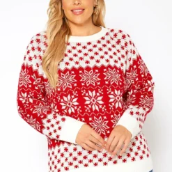 Asoph Plus Size Snow Flake Print Knit Sweater