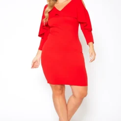 Plus Size Ruffle Overlay Long Sleeve Mini Dress