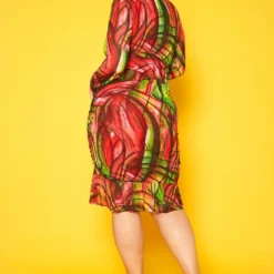 Plus Size Abstract Color Print Flare Mini Dress -Radiant Drape Sales 2018767 473 3