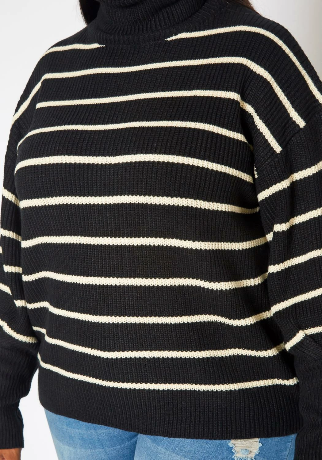 Plus Size Striped Print Turtleneck Sweater 5 Plus Size Striped Print Turtleneck Sweater - Image 5