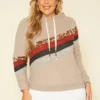 Plus Size Multi Striped Hooded Sweater