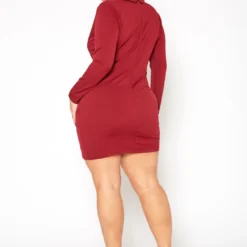 Plus Size Notch Collar Long Sleeve Mini Dress -Radiant Drape Sales 2019384 111 3