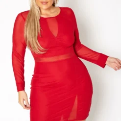 Plus Size Mesh Contrast Long Sleeve Mini Dress