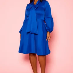 Plus Size Bow Collar Fit & Flare Mini Dress -Radiant Drape Sales 2019773 003 2