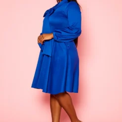 Plus Size Bow Collar Fit & Flare Mini Dress -Radiant Drape Sales 2019773 003 3