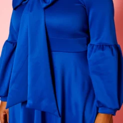 Plus Size Bow Collar Fit & Flare Mini Dress -Radiant Drape Sales 2019773 003 5