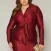 Plus Size Slinky Collar Neck Bodycon Mini Dress