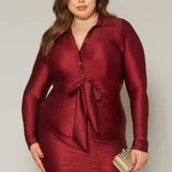 Plus Size Slinky Collar Neck Bodycon Mini Dress