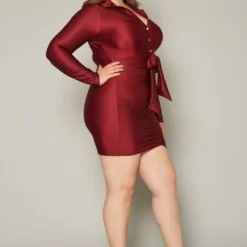 Plus Size Slinky Collar Neck Bodycon Mini Dress -Radiant Drape Sales 2019850 001 2