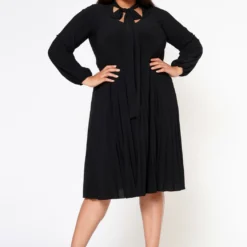 Plus Size Bow Collar Pleated Fit & Flare Dress -Radiant Drape Sales 2019881 003 2