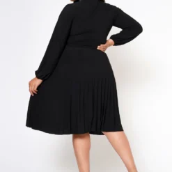 Plus Size Bow Collar Pleated Fit & Flare Dress -Radiant Drape Sales 2019881 003 4