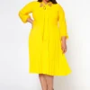Plus Size Bow Collar Pleated Fit & Flare Dress
