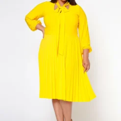 Plus Size Bow Collar Pleated Fit & Flare Dress