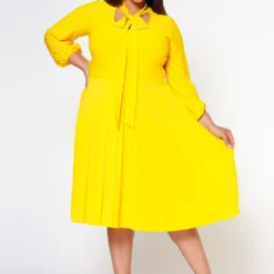 Plus Size Bow Collar Pleated Fit & Flare Dress -Radiant Drape Sales 2019881 005 2
