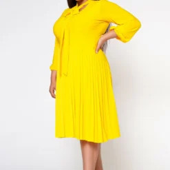 Plus Size Bow Collar Pleated Fit & Flare Dress -Radiant Drape Sales 2019881 005 3