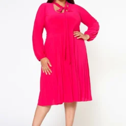 Plus Size Bow Collar Pleated Fit & Flare Dress
