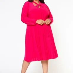 Plus Size Bow Collar Pleated Fit & Flare Dress -Radiant Drape Sales 2019881 006 2
