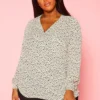 Plus Size V Neck Spotted Blouse