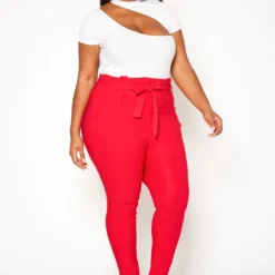 Plus Size Paperbag High Waist Skinny Pants -Radiant Drape Sales 2020161 002 2