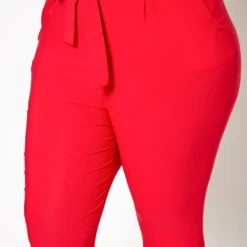 Plus Size Paperbag High Waist Skinny Pants -Radiant Drape Sales 2020161 002 4