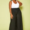 Plus Size Pleated Palazzo Pants