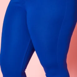 Plus Size High Waist Jeggings -Radiant Drape Sales 2020454 006 5