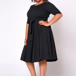 Plus Size Fit & Flare Mini Dress -Radiant Drape Sales 2020462 004 3