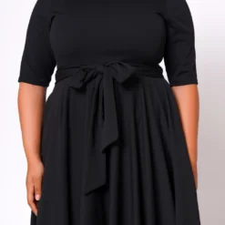 Plus Size Fit & Flare Mini Dress -Radiant Drape Sales 2020462 004 5