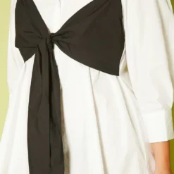 Plus Size Collar Neck Front Tie Mini Dress -Radiant Drape Sales 2020591 001 5