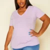 Plus Size V-Neck Basic Blouse