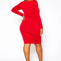 Plus Size Scoop Neck Long Sleeve Mini Dress -Radiant Drape Sales 2021147 001 3
