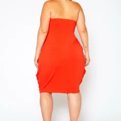 Plus Size Draped Tube Mini Dress -Radiant Drape Sales 2021175 001 3