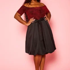 Plus Size Embellished Fit & Flare Dress