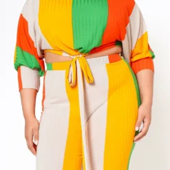 Plus Size Multi Striped Crop Top & Pants Set 9 Plus Size Multi Striped Crop Top & Pants Set -Radiant Drape Sales 2022462 002 4