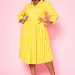 Plus Size Pleated Fit & Flare Midi Dress