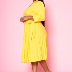 Plus Size Pleated Fit & Flare Midi Dress -Radiant Drape Sales 2022467 002 2