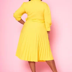 Plus Size Pleated Fit & Flare Midi Dress -Radiant Drape Sales 2022467 002 3