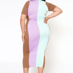 Plus Size Color Block Zip Front Bodycon Dress -Radiant Drape Sales 2022483 002 5
