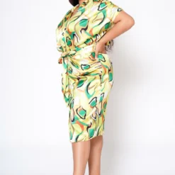 Plus Size Abstract Pattern Button Front Midi Dress -Radiant Drape Sales 2022577 001 1