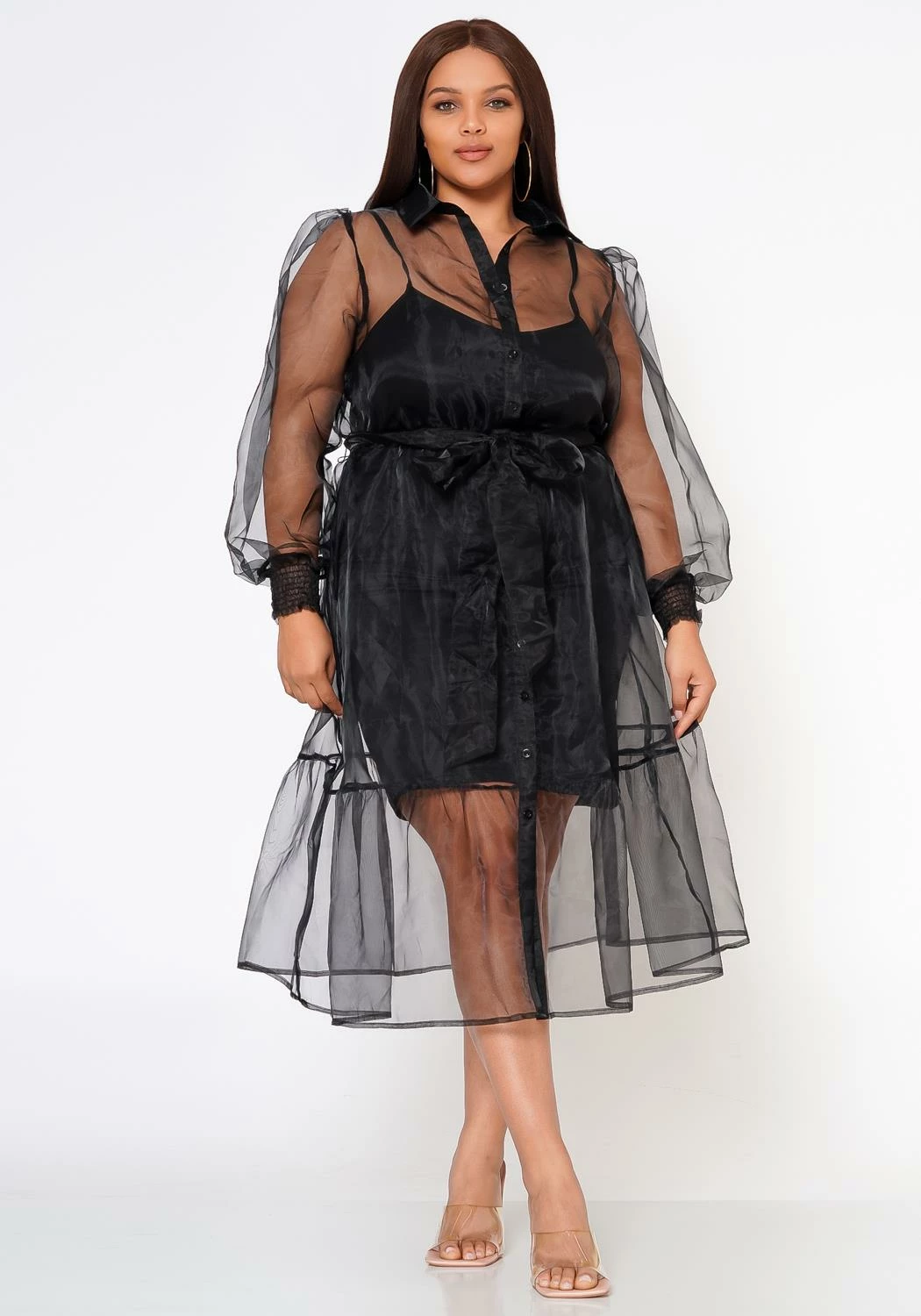 Plus Size Top Trend Sheer Button Front Fit & Flare Dress 2 Plus Size Top Trend Sheer Button Front Fit & Flare Dress - Image 2