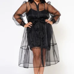 Plus Size Top Trend Sheer Button Front Fit & Flare Dress 8 Plus Size Top Trend Sheer Button Front Fit & Flare Dress -Radiant Drape Sales 2022579 001 2