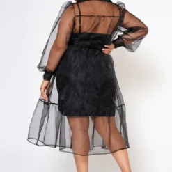 Plus Size Top Trend Sheer Button Front Fit & Flare Dress 10 Plus Size Top Trend Sheer Button Front Fit & Flare Dress -Radiant Drape Sales 2022579 001 4